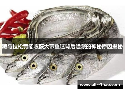 跑马拉松竟能收获大带鱼这背后隐藏的神秘原因揭秘