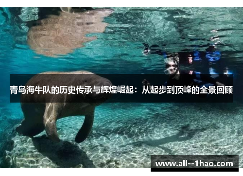 青岛海牛队的历史传承与辉煌崛起:从起步到顶峰的全景回顾 青岛海牛队的历史传承与辉煌崛起:从起步到顶峰的全景回顾