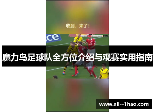 魔力鸟足球队全方位介绍与观赛实用指南 魔力鸟足球队全方位介绍与观赛实用指南
