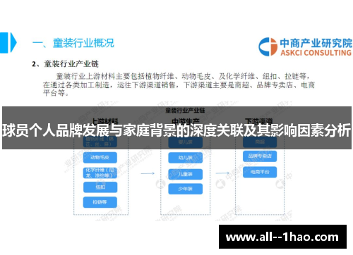 球员个人品牌发展与家庭背景的深度关联及其影响因素分析