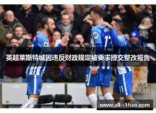 英超莱斯特城因违反财政规定被要求提交整改报告